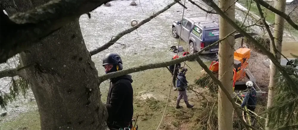 Entreprise d’élagage certifiée à Arlon