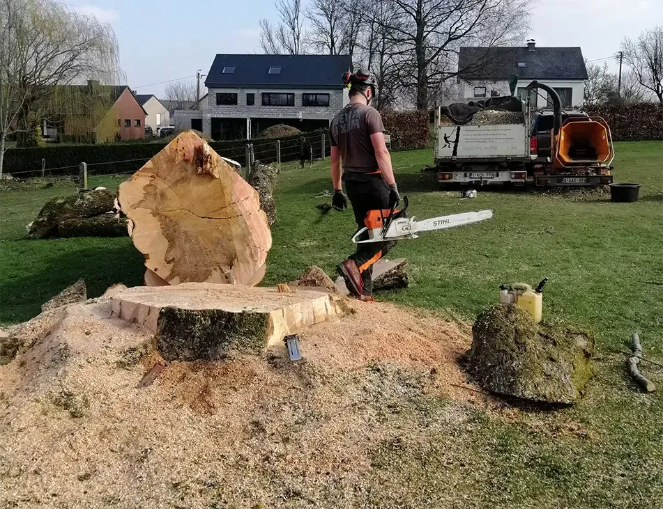 Aménagement paysager haut de gamme à Arlon