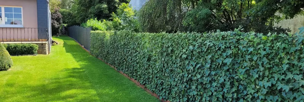 Création d’aménagements extérieurs à Arlon